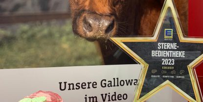 Ein neues Galloway-Rind ist eingetroffen